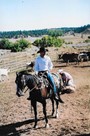 Branding calves years ago on Little Bear Creek.